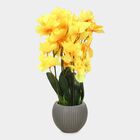 Plastic Artificial Plant, , small image number null