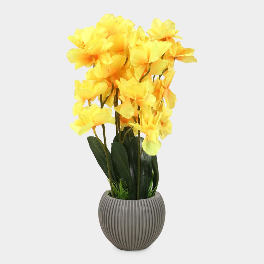 Plastic Artificial Plant, , large image number null