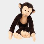 Brown Soft Toy, , small image number null