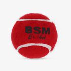 Red Tennis Ball Pack of 3 In Jar, , small image number null