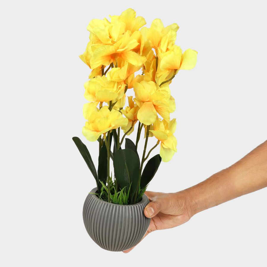 Plastic Artificial Plant, , large image number null