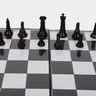 Magnetic chess board, , small image number null