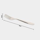 Stainless Steel Fork Set of 4, , small image number null