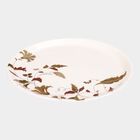 Melamine Full Plate, 30 X 30 cm, , small image number null