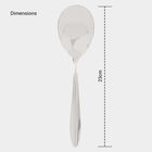 Stainless Steel Serving Spoon, , small image number null