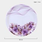 Melamine Full Plate, , small