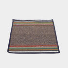 Anti-Skid Blue Polypropylene Door Mat, , small image number null