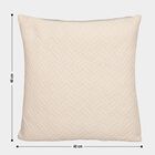 Cream Polyester Cushion Cover, , small image number null