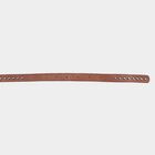 Women's Brown Polyurethane Belt, , small image number null