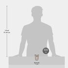 300 ml Stainless Steel Tumbler, , small image number null