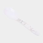 Melamine Serving Spoon, , small image number null