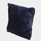 Blue Velvet Cushion, , small image number null