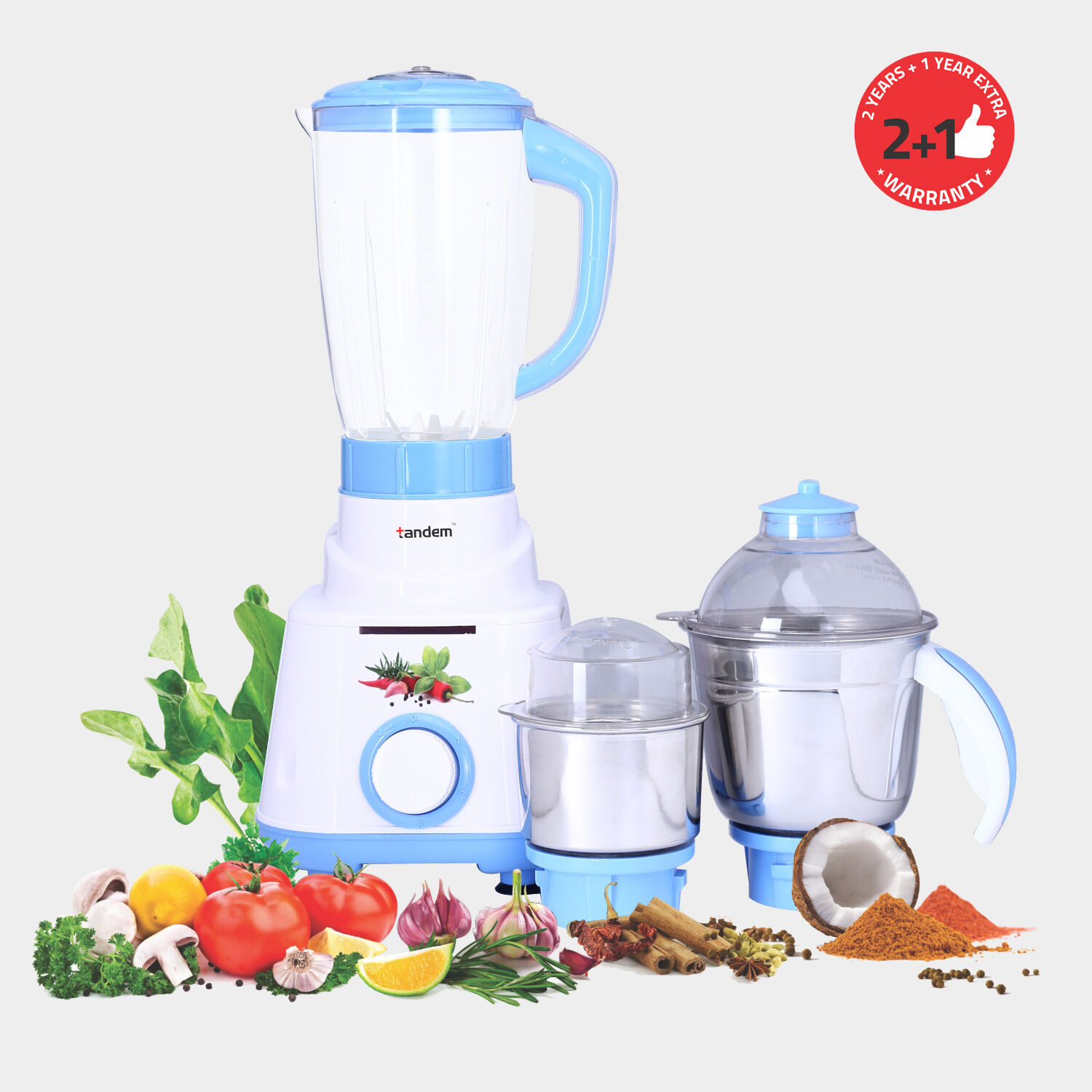 tandem mixer grinder vishal mega mart price