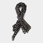 Women's Black Viscose Scarf, , small image number null