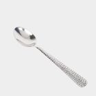 Stainless Steel Spoon Set of 6, , small image number null