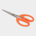 Stainless Steel Scissor, , small image number null