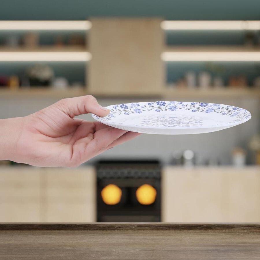 Melamine Full Plate, , large image number null