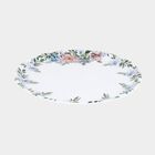 Melamine Full Plate, , small image number null