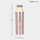 725 ml Stainless Steel Bottle, , small image number null