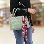 Women's Light Green Polyurethane Hand Bag, , small image number null