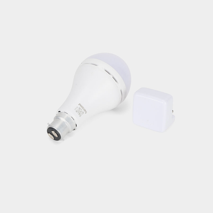 LED Bulb Inverter 10W Bulb , , large