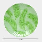 Melamine Full Plate, , small image number null