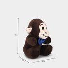 Kid's Cute Mini Monkey Plush Toy with Hanging String, , small