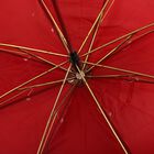 Men's Maroon Polyester Umbrella, , small